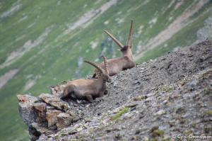 Summit of tête Nord des Fours
