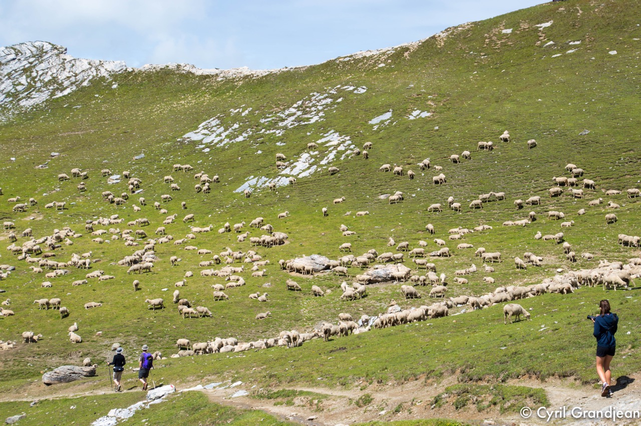 Summit of tête Nord des Fours