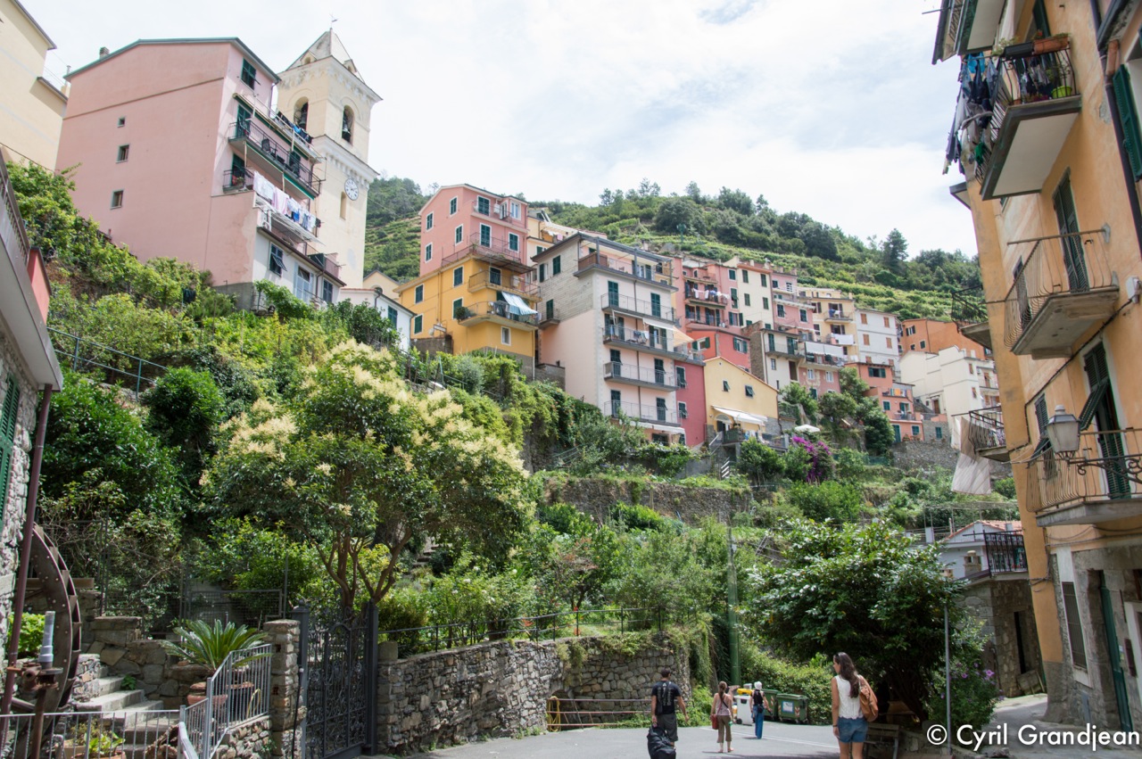 Manarola