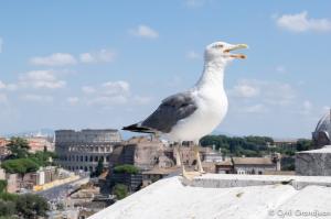 Altare della Patria