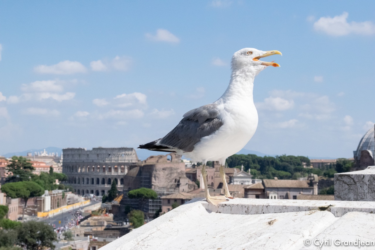 Altare della Patria