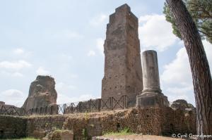 Palatine Hill