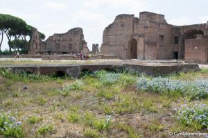 Palatine Hill