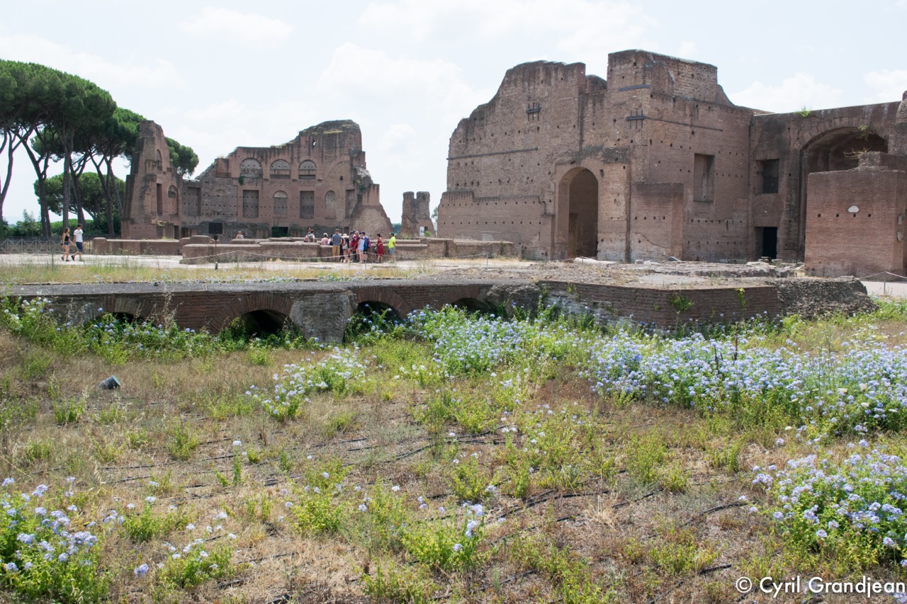 Palatine Hill