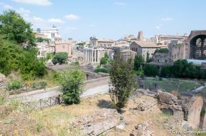 Roman Forum