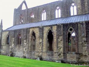 Tintern Abbey